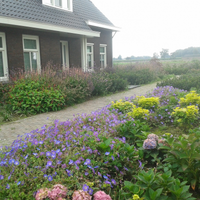 boerderij tuin