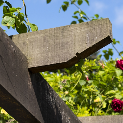 Pergola dromen