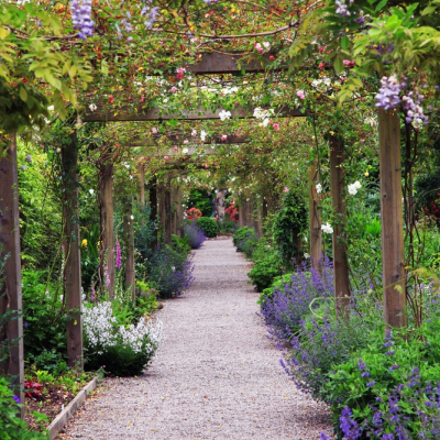 Pergola perikelen