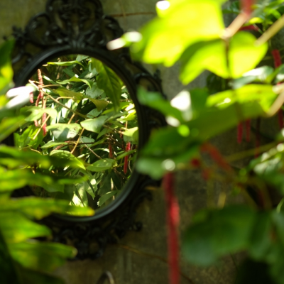 De moeilijkste tuin