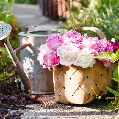 Doe jezelf een tuincadeau!